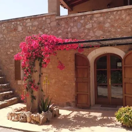 Es Figueral Country house